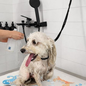 Салон груминга «Fluffy pet salon», фото-3