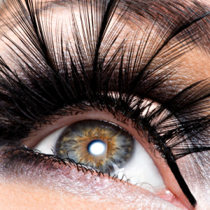 Alina Brows Lashes Che (Черкаси) - Салон брові та вії на Добровольского 5, офіс 302, фото-2